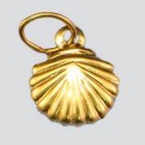 Seashell Hoop Charms