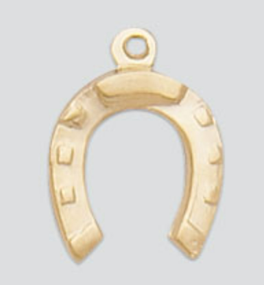 Horseshoe Charm