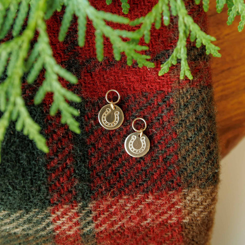 Horseshoe Hoop Charms