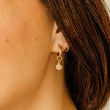 Seashell Hoop Charms
